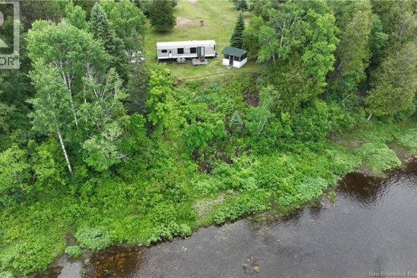 Aerial view looking down at the river's edge, showing lush green vegetation and water. - 145 Halcomb Road, Halcomb