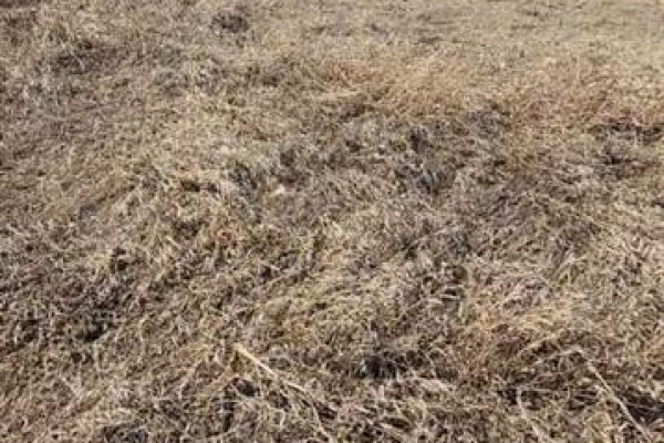 145048 192 Township N, Rural Newell County Of, AB T0J0Z0 Photo 2