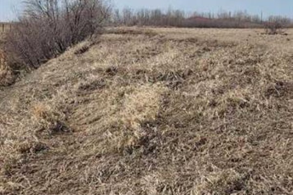 145048 192 Township N, Rural Newell County Of, AB T0J0Z0 Photo 4
