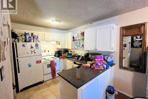 Living room - 1459 Milburn Avenue, Prince George, BC V2L5A5 Photo 3