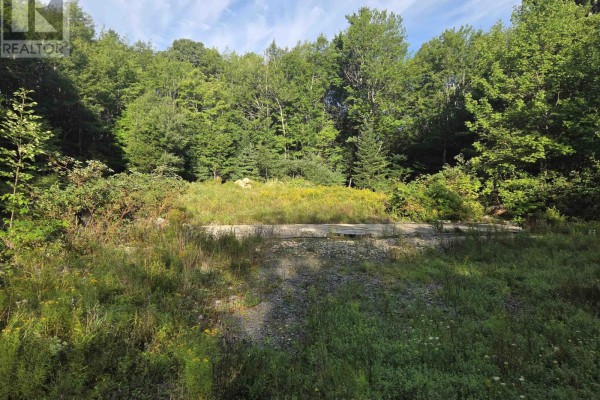 146 Pine Street, Bridgewater, NS, photo 3