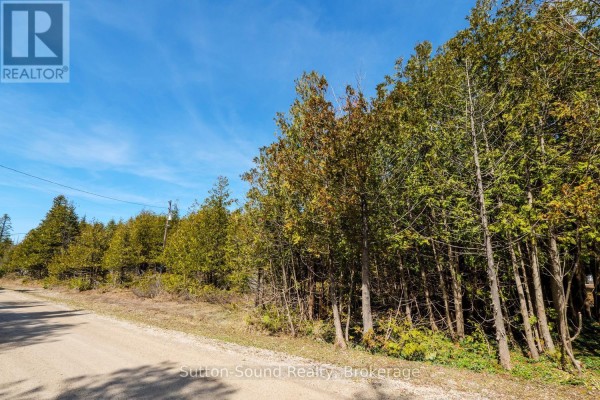 Snowy terrain featuring a mix of trees and open space - 146 Sutter Road, Northern Bruce Peninsula