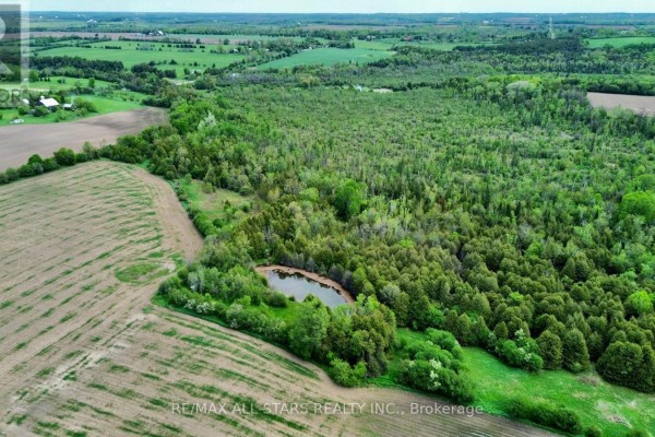 14629 Regional 1 Road, Uxbridge, ON L9P1R2 Photo 4