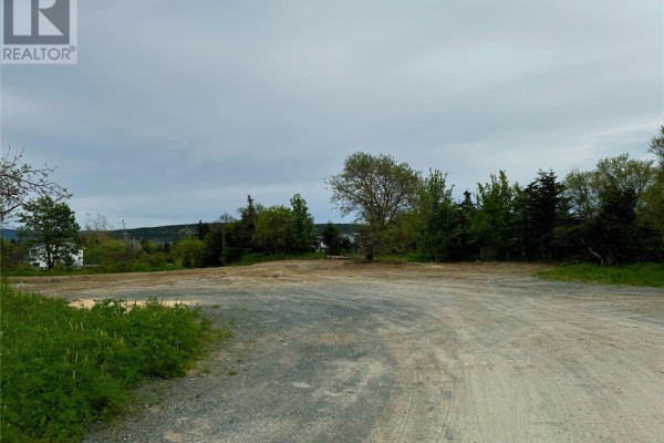147-149 Thorburn Road, St  John S, NL A1B4P8 Photo 3