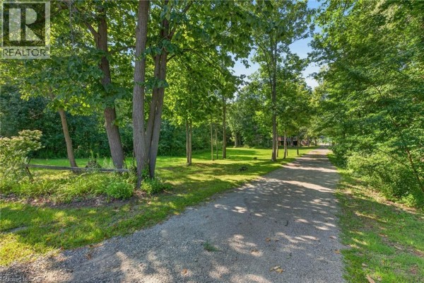 Gravel driveway curves through a lush green lawn surrounded by mature trees on a sunny day. - 147 Concession 1 Road S, Cayuga