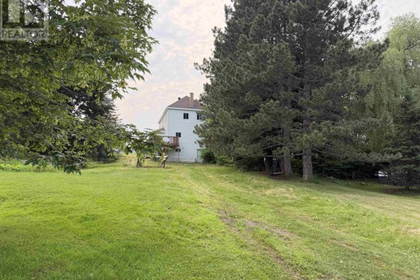 Backyard view of a white house with a deck, surrounded by large trees and grassy terrain. - 147 Mackay Street, Stellarton