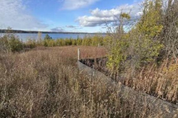 147 Wilson Drive, Georgian Bluffs, ON, photo 3
