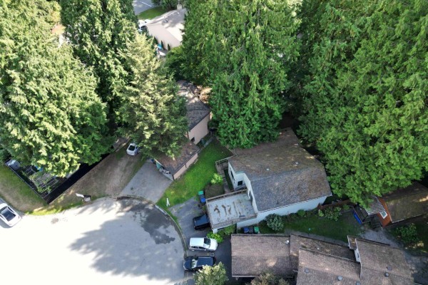14718 101a Avenue, Surrey, BC V3R7E7 Photo 5