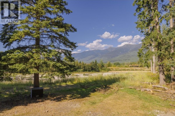 Living room - 1475 Dorval Road, Mcbride, BC V0J2E0 Photo 4