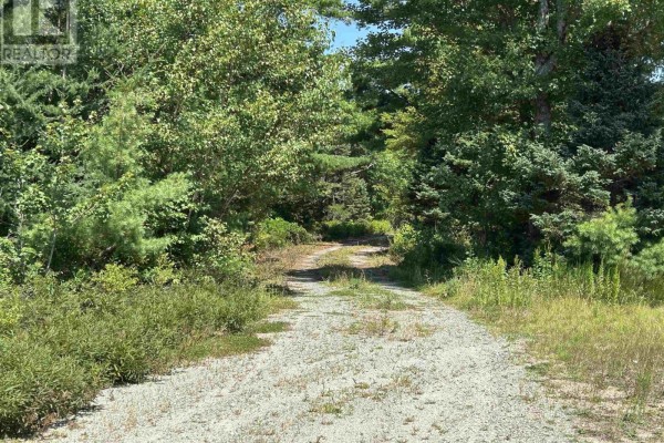 1475 Upper Clyde Road, Clyde River, NS, photo 3