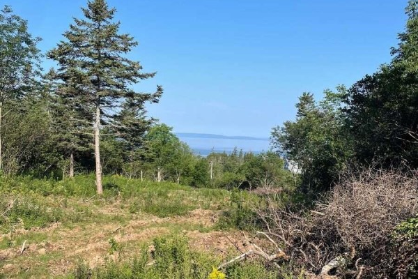 14764 Highway 4, Johnstown, NS B0E3B0 Photo 3