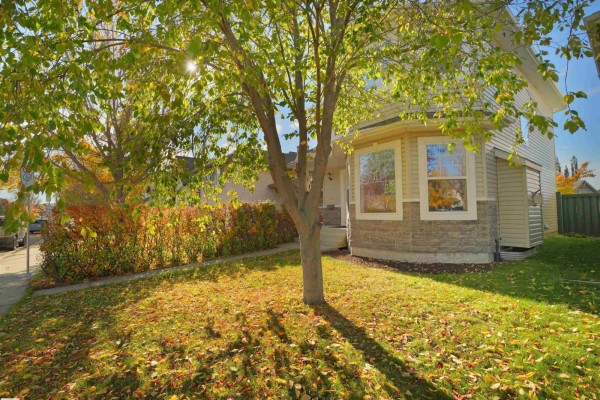 Kitchen - 1478 Grant Wy Nw, Edmonton, AB T5T6M9 Photo 3