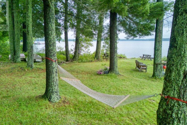 A white net hammock is strung between two trees in a green grassy yard facing the lake. - 148b Oak Shores Lane, Frontenac