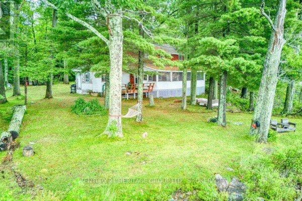 Cottage with deck, hammock, and fire pit surrounded by trees - 148b Oak Shores Lane Frontenac