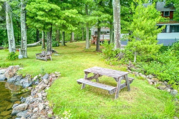 Wooded yard with picnic table, hammock, and waterfront access near a house - 148b Oak Shores Lane Frontenac