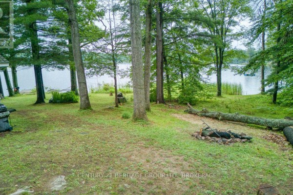 A fire pit sits in a clearing with fallen trees and green grass surrounding it. - 148b Oak Shores Lane, Frontenac