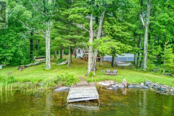 Lakefront property with wooden dock, hammock, chairs, and trees.