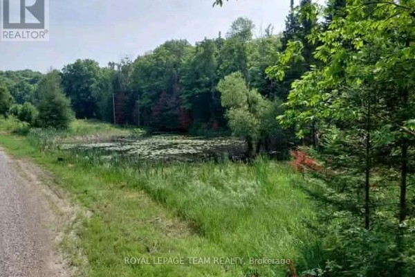 1491 Smith Road Sw, Frontenac, ON, photo 3