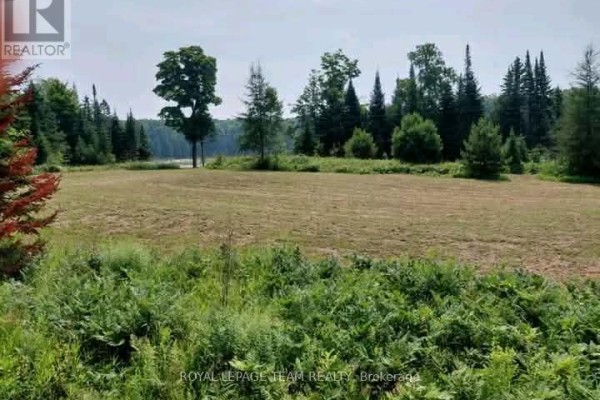 Cleared grassy field with scattered trees and dense green foliage in the foreground. - 1491 Smith Road Sw, Frontenac