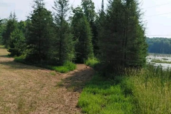 A narrow dirt path winds through evergreen trees, with a water body on the right. - 1491 Smith Road Sw, Frontenac