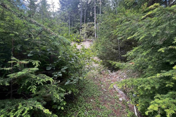 14953 Parkwood Street, Sunshine Valley, Sunshine Valley, BC V0X1L5 Photo 2