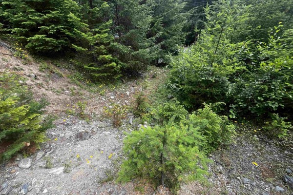 14953 Parkwood Street, Sunshine Valley, Sunshine Valley, BC V0X1L5 Photo 5