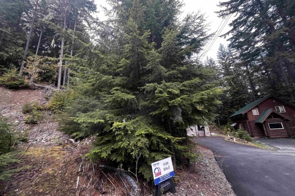 14963 Parkwood Street, Sunshine Valley, Sunshine Valley, BC V0X1L5 Photo 4