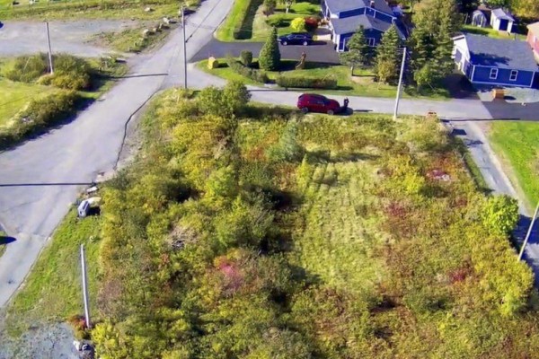 Overhead view of a partially cleared lot with trees, bushes, and a red car. - 15-17 Cemetery Road, Upper Island Cove