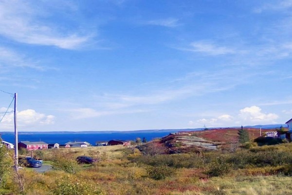 View of houses and water from a grassy hillside with scattered bushes. - 15-17 Cemetery Road, Upper Island Cove