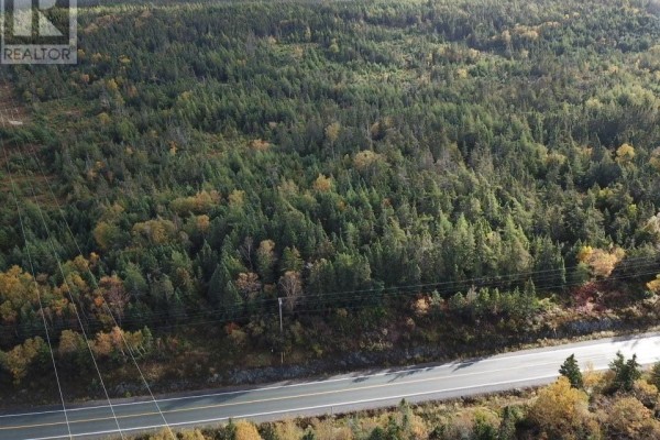 Aerial perspective of wooded area with autumn foliage and nearby road. - 15-25 Liam Hickey Drive, Holyrood