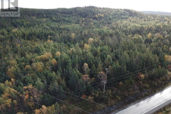 View of hilly forested terrain with power lines and road below. - 15-25 Liam Hickey Drive, Holyrood