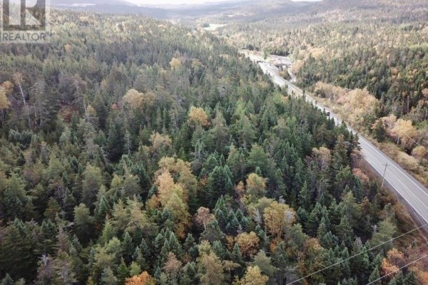Aerial shot of forested landscape with distant hills and winding road. - 15-25 Liam Hickey Drive, Holyrood