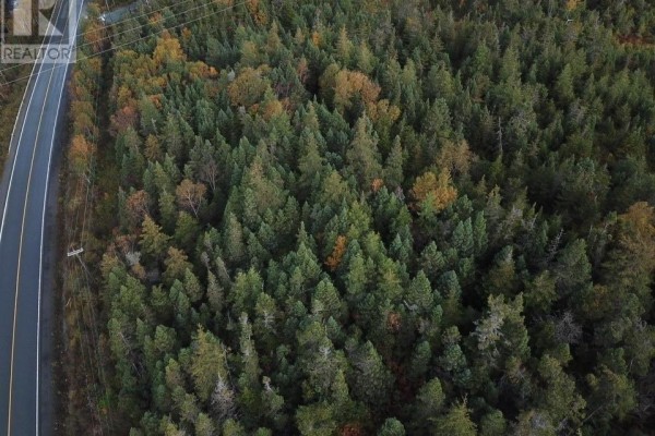 Close-up aerial view of dense trees with hints of fall colors and adjacent road. - 15-25 Liam Hickey Drive, Holyrood