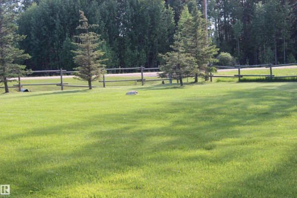 15 55062 Twp Rd 462, Rural Wetaskiwin County, AB T0C0T0 Photo 4
