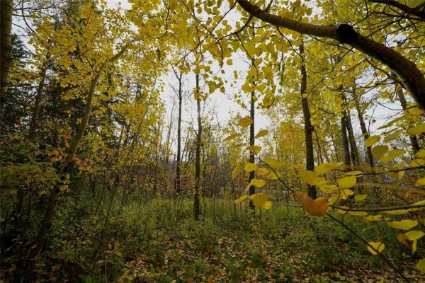 15 Autumnwood Bay, Balsam Bay, MB R0E0B0 Photo 4