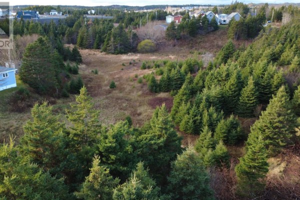 15 Bayview Street, Marystown, NL, photo 2