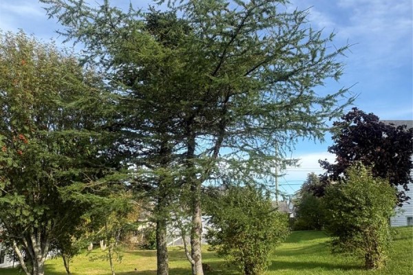 Lots and Land for sale at 15 Cedar Drive, St  John S, NL - MLS® 8m7IYl