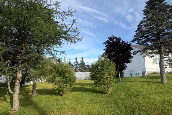 15 Cedar Drive, St  John S, NL, photo 3