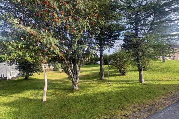 15 Cedar Drive, St  John S, NL A1A4X4 Photo 4