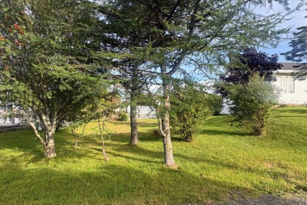 15 Cedar Drive, St  John S, NL A1A4X4 Photo 5