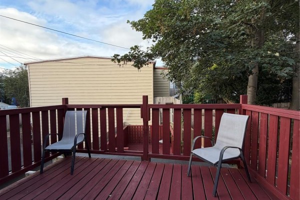 15 Colonial Street, St  John S, NL, photo 3
