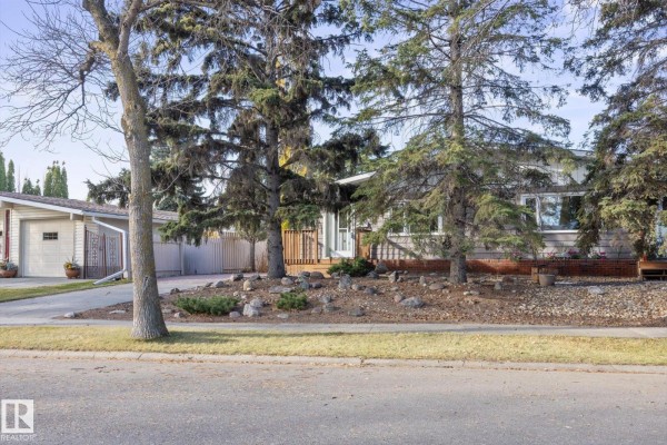 Kitchen - 15 Falcon Cr, St  Albert, AB T8N1V1 Photo 3