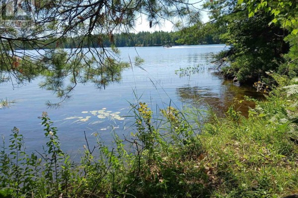 15 Fire Route 92a Kasshabog Lake, Havelock Belmont Methuen, ON, photo 2
