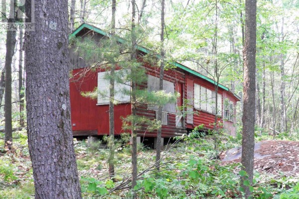 15 Fire Route 92a Kasshabog Lake, Havelock Belmont Methuen, ON K0L2H0 Photo 4