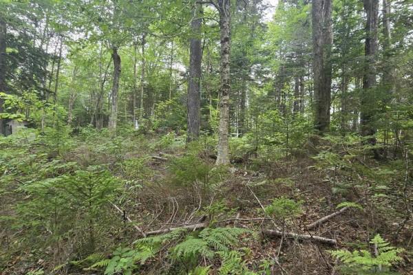 15 Johnson Road, Mount Uniacke, NS, photo 3