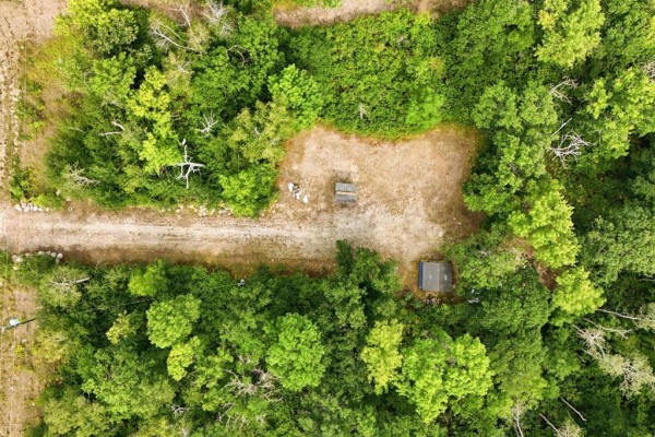 Aerial view of a clearing with a gravel path, surrounded by dense green trees. - 15 Kara Way, St Clements