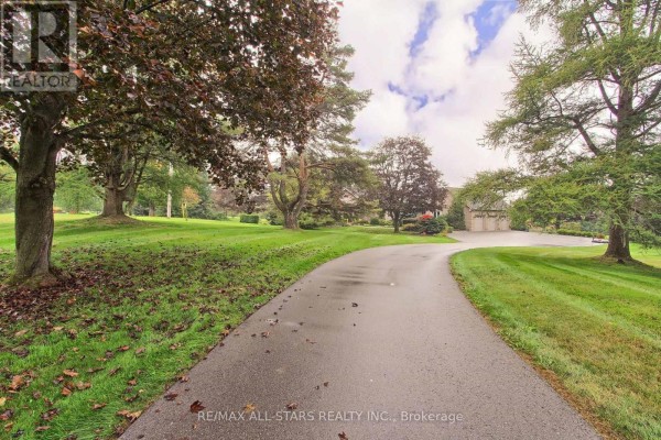 Asphalt driveway curves through a park-like setting with autumn foliage. - 15 Lobraico Lane, Whitchurch Stouffville