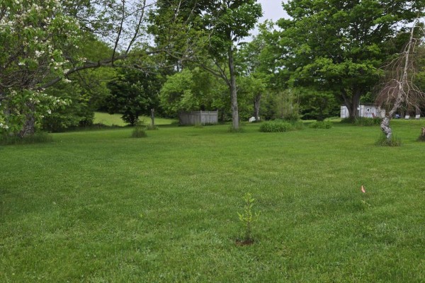 15 Lorabelle Court, Montrose, PE C1N1K0 Photo 4