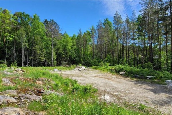 15 Madeline Street, Huntsville, ON, photo 2