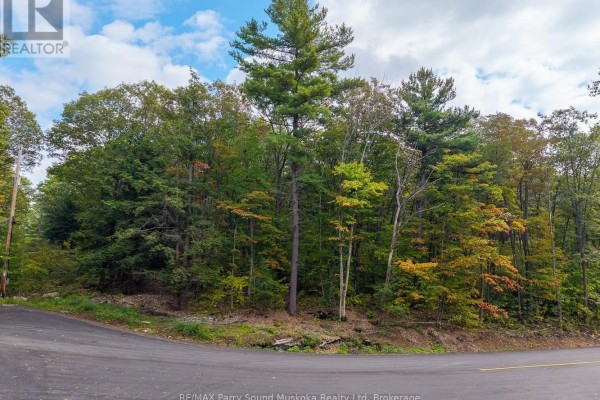 View of a treed lot with tall pine and deciduous trees beside a paved road. - 15 Oakridge Road N, Mcdougall